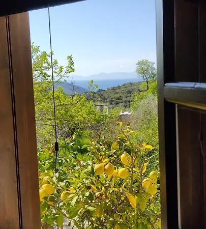 Alikias * Panormos (Skopelos)