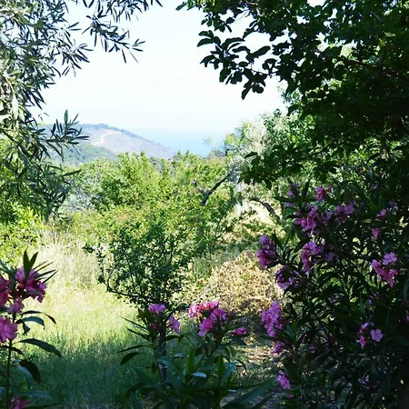 Prázdninový dům Alikias